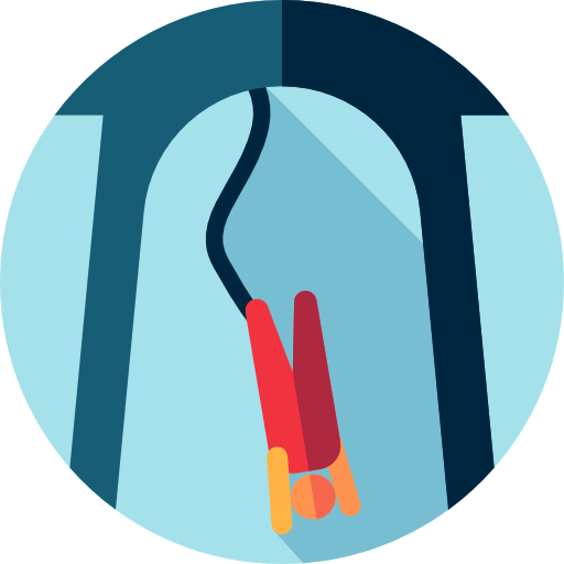 person jumping bungee